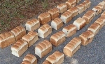 〈大山で謎の不法投棄〉大量の食パンの次は「鶏の内臓」…7日間で5日も繰り返される怪行動、警察も捜査「落としたとは考えにくい」