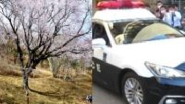 〈花見の名所で女性にガブッ〉「歯がなかったので大きなケガはなく…」かみつき男（89）がパトカー連行中に突然死亡「ツバも吐きつけてきた」…司法解剖の結果は？