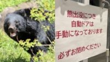 〈秋田“クマ被害”が限界〉「人が襲われ骨だけ残された例も…」目撃情報は例年の8倍、市職員の装備はヘルメットと盾、スプレーだけ、追いつかない駆除の実状「ハンターは檻にはいったクマを撃つ」