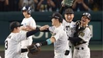 女性阪神ファン約3000人に聞いた「推し選手ランキング」その意外な結果とは？上位選手の傾向はイケメン＆ドラマ性