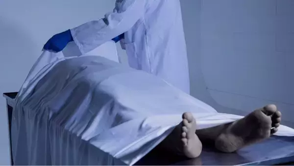 死体の解剖は「時給9360円」…ひき逃げ事件の真相を暴く法医学者の知られざる世界