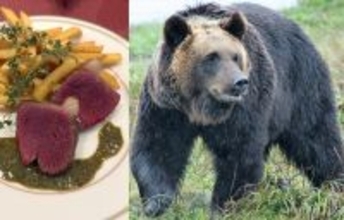 ツキノワグマ串が大バズり 「駆除して食べる」は対策になるのか？　青森の販売元が語った“本当の課題”【2025 クマ被害記事 5位】