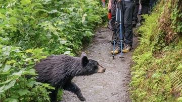 「クマが顔を狙うのは、急所として認識しているから」被害を最小限に抑えるための方法を専門家が解説
