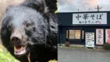 〈青森・クマがラーメン店襲撃〉「笑えないです」ボコボコにしてクマを返り討ち“レジェンド”と賞賛された男性はまぶたが腫れあがり骨折「補助金なし」で休業せざるえないオーナーの慟哭