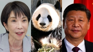 〈54年ぶりにゼロパンダ時代へ〉「日中友好の証しなので当分、来ません」パンダ外交断絶の真相「習近平に話を通せる政治家も外交官も日本にいない」