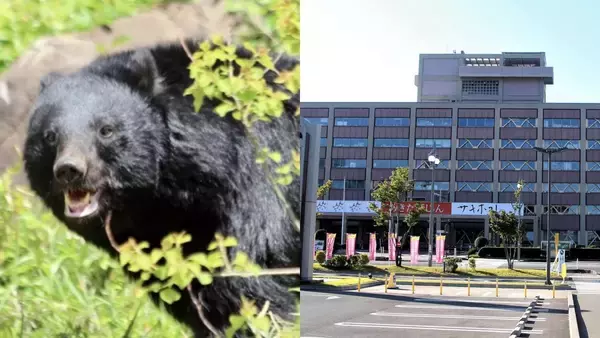 「クマさっさと絶滅させろ」“過激派”の電凸多数で役所は困惑「業務に支障をきたす」「共生目指す」しかし維新議員も参戦「管理できていないクマは全て駆除すべき」