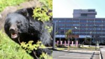 「クマさっさと絶滅させろ」“過激派”の電凸多数で役所は困惑「業務に支障をきたす」「共生目指す」しかし維新議員も参戦「管理できていないクマは全て駆除すべき」