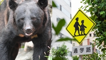 「子どもの送迎が負担」「職場の早退がつらい」クマ出没多発で保護者にのしかかる“学校送迎問題”「これ続くとめっちゃストレスだな」秋田県の対応は