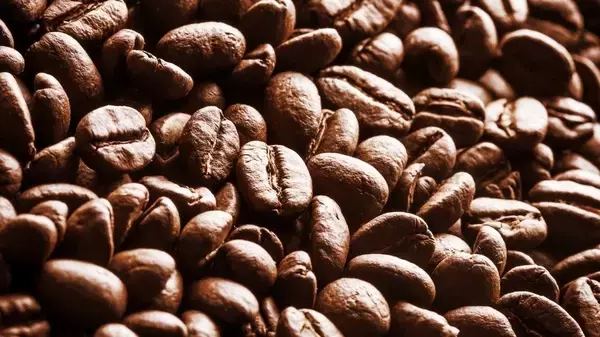 キャニスターで保管は意味なし？ コーヒー豆を劣化させる３つの要因…美味しさをキープするために欠かせないこと