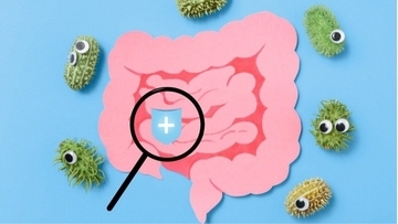 「腸内フローラ」だけじゃない…あなたの体内に大量のウイルスが棲んでいる？ 腸内細菌を“調節する存在”とは
