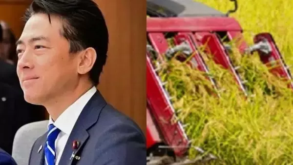 〈コメ最高値〉「農協の吊り上げは異常だった」米業者が明かす価格暴騰と失速の真相「政府も進次郎前大臣も問題だった」