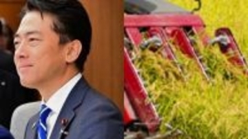 〈コメ最高値〉「農協の吊り上げは異常だった」米業者が明かす価格暴騰と失速の真相「政府も進次郎前大臣も問題だった」