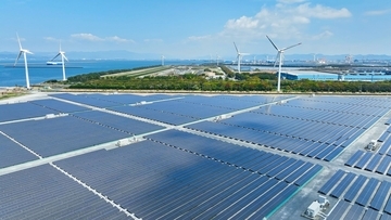 「太陽光で電気代ゼロ！」の落とし穴…政治判断ミスを後押しした大手メディアと暗躍する企業、ツケを払い続ける日本国民