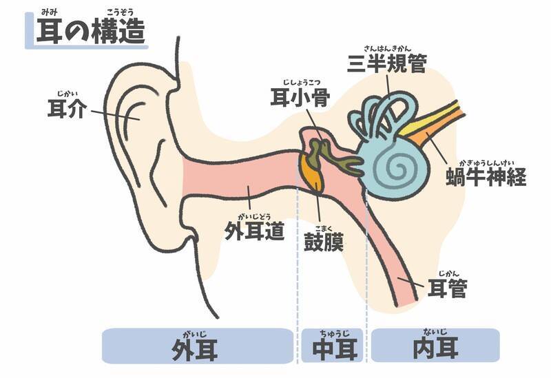 昨日まで聞こえていたのに、急に片方の耳が聞こえなくなった！ 多くの芸能人も悩む 「突発性難聴」にならないための５つの生活習慣