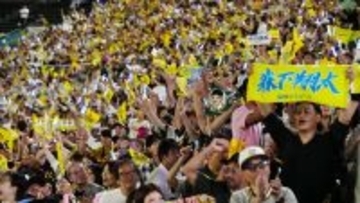 なぜ阪神ファンの9割が推しタオルを持つのか？  推しタオルが生む「シンクロニシティ」の正体