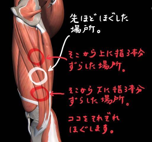 つらい膝の痛みの原因は座り方に？ 温めてもマッサージしても治らない膝痛のためにほぐすべき意外な部位