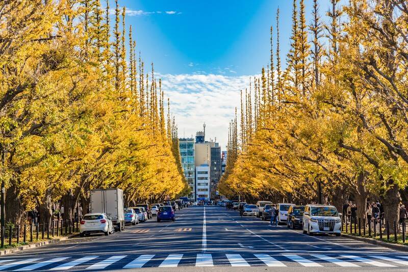 斎藤幸平が考える“人新世のリーダー論”。「ボトムアップ型の自治では、カリスマ型のリーダーがひとりではなく、自分の得意分野で自主的に動くことのできる人が大勢いる“リーダーフル”な状態が重要」