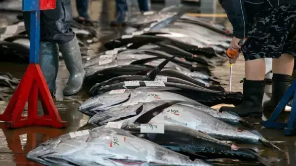 世界の漁業生産量は過去最多なのに、日本だけ激減の謎──天然は頭打ち、養殖爆伸びの時流のなか“魚の国ニッポン”の明日はどっちだ？