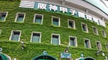 〈伝説の甲子園〉江川卓が“怪物”でいられなかった夜　延長12回169球の真実