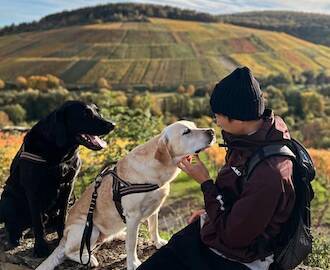 【日本人アスリートの愛犬特集】メジャーリーガーや元サッカー日本代表、あのパリ五輪メダリストも、、、