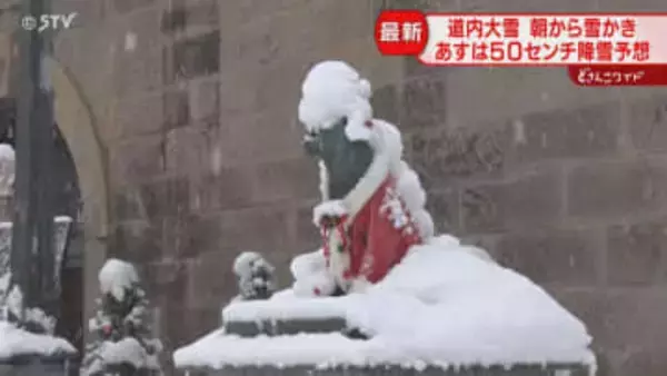 「いよいよ始まったな」札幌は24時間で20センチ　雪の降り方強まる　新千歳空港で28便欠航