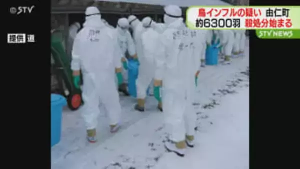 道内養鶏場で今シーズン3例目　由仁町の養鶏場 高病原性鳥インフルエンザ疑い　約6300羽殺処分始める