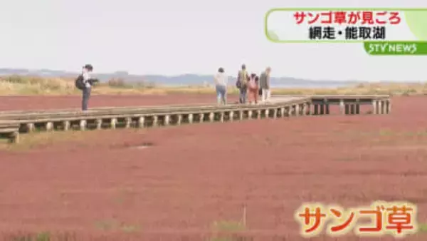 北海道網走市限定】指定ゴミ袋 心地よし