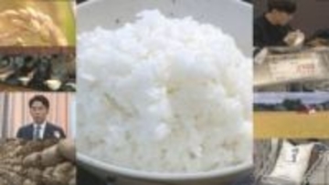 新米流通も価格逆戻り「生活費を切り崩して買う」背景に“集荷競争” 今後は値下がり？令和の米騒動
