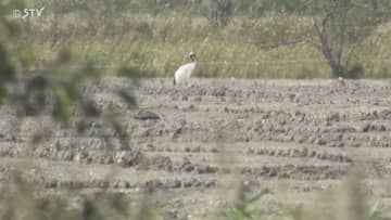 土壌汚染調査計画書を提出　1月13日に着手予定　メガソーラー建設の日本エコロジー　北海道