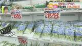 「道産野菜の出荷始まる　狙い目は“ホウレン草”　今月は平年並みの価格続く　新タマネギは高値に」の画像1