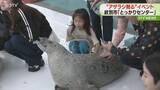 「「つめたい！つるつるしてる！」“アザラシを触るイベント”　北海道紋別市「とっかりセンター」」の画像1