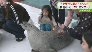 「つめたい！つるつるしてる！」“アザラシを触るイベント”　北海道紋別市「とっかりセンター」