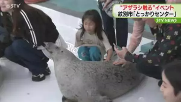 「つめたい！つるつるしてる！」“アザラシを触るイベント”　北海道紋別市「とっかりセンター」