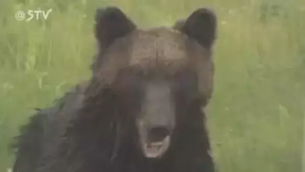 【緊急要望】ヒグマ捕獲に支援を…発砲責任に不安　ガバメントハンター確保や餌付けへの罰則求める　北海道
