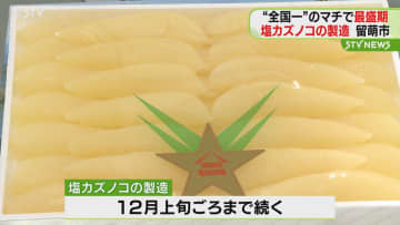 カズノコ生産量全国一　お歳暮や正月向け塩カズノコの製造が最盛期 北海道留萌市