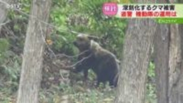 機動隊員２人体制は「現場を知らない」と指摘も　ライフル銃でクマ駆除へ　道警も銃器対策部隊を検討
