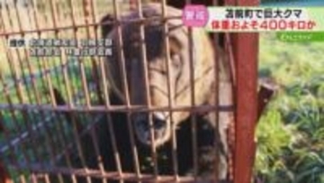 わなに警戒するクマも…　道が警察や猟友会と情報交換　クマ被害対策パッケージの円滑運用に向け