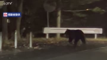 【速報】体長138センチのメス1頭駆除 山の手地区に出没繰り返したクマか 札幌市西区