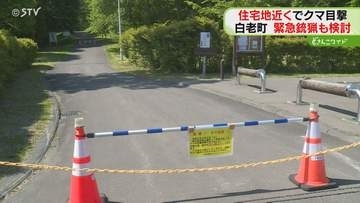 ドライバーが成獣のクマ目撃　白老町は“緊急銃猟”も検討　ハンターらが付近捜索…屋内へ避難呼びかけ