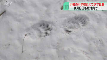 小学校校門前にクマ出没　教員が発見…足跡も複数　下校時に車で送迎するよう呼びかけ　北海道小樽市
