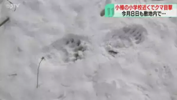 小学校校門前にクマ出没　教員が発見…足跡も複数　下校時に車で送迎するよう呼びかけ　北海道小樽市