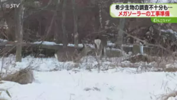 工事に向けた除雪や草刈り　釧路市内メガソーラー予定地　準備進められていると判明　北海道釧路市