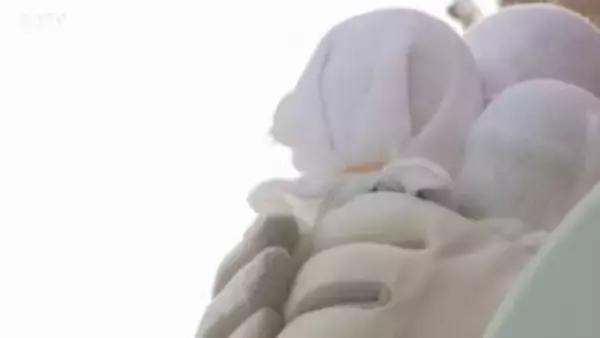 単独で16人が立候補　比例代表・北海道ブロック　8議席獲得を目指し…衆院選きょう公示