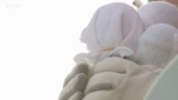 単独で16人が立候補　比例代表・北海道ブロック　8議席獲得を目指し…衆院選きょう公示