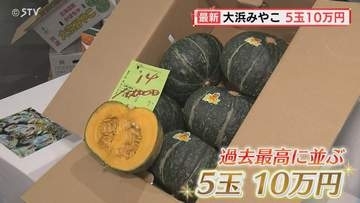 過去最高値と並んだ！5玉10万円　札幌産カボチャ「大浜みやこ」初競り　札幌市中央卸売市場