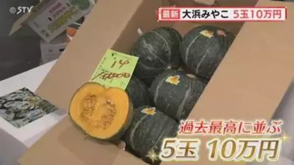 過去最高値と並んだ！5玉10万円　札幌産カボチャ「大浜みやこ」初競り　札幌市中央卸売市場