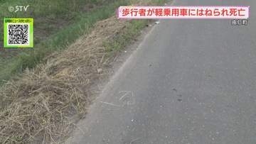 男性が車にはねられ死亡　過失運転致傷容疑で男逮捕　北海道由仁町