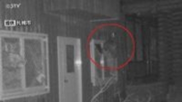 【速報】円山動物園内でクマ1頭捕獲・駆除　体長113センチのオス　繰り返し侵入していた個体か　札幌市