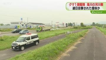 滝川で体長約1.5mのクマ駆除　6日から目撃相次いだ個体か　サイクリングロード近くに出没　北海道