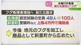 「【解説】フグの処理者増加へ　地元で加工して新たな商品に　“認定試験”の補助も…　北海道」の画像1